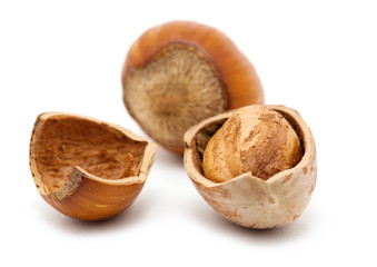 Hazelnuts on white background