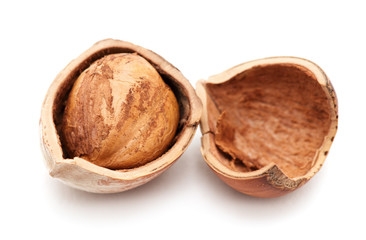 Hazelnuts on white background