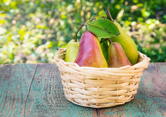 Wicker basket of ripe pears