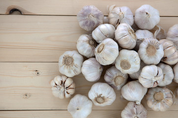 Organic garlic whole and cloves on the wooden background