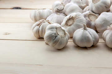Organic garlic whole and cloves on the wooden background