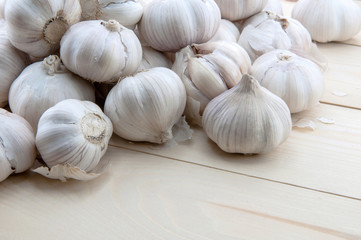 Organic garlic whole and cloves on the wooden background