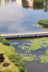 Footbridge over the lake with water lilies and reflections