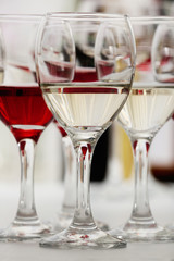 Glasses with different kind of wine