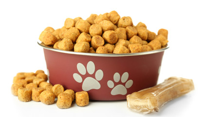 Dog food in metallic bowl on white background