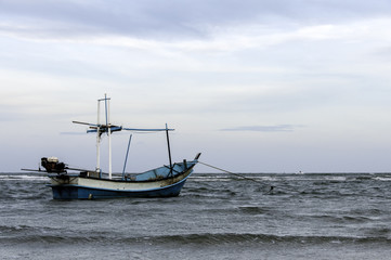 fishing boat used as a vehicle for finding fish in the sea.