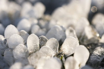 Little round icicles on the ground