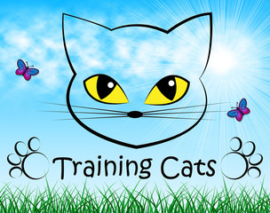 Training Cats Represents Pet Kitty And Trainer