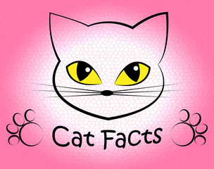 Cat Facts Shows Truth Data And Felines