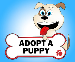 Adopt Puppy Shows Looking After Dog Pets