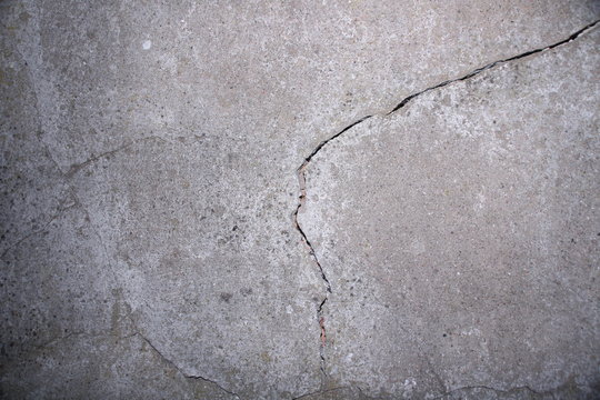 Riss Baum&auml;ngel