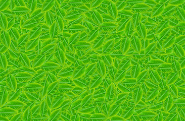 Naklejka na ściany i meble green leaf 