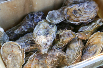 huîtres