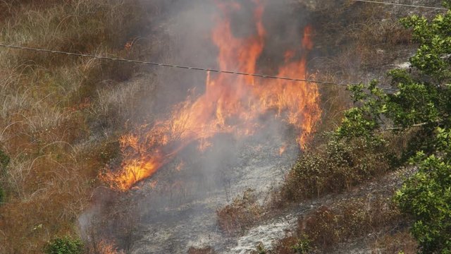 Flames around a patch of ashes quickly consume dry grass in their path