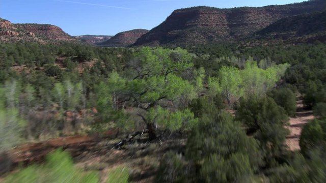 Flying over wide, wooded canyon in the Southwest