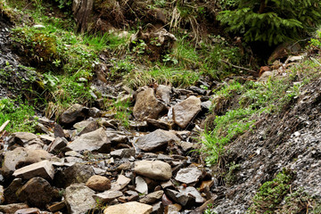 Mountain stream flowing into a stony brook