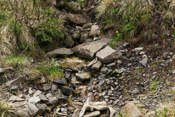 Mountain stream flowing into a stony brook