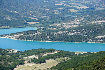 lavandes en provence