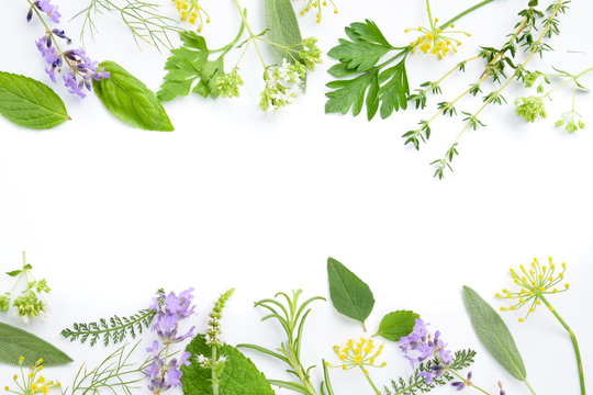 variety of fresh herbs on white background