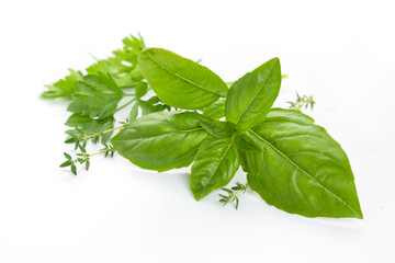 basil and herbs in white background