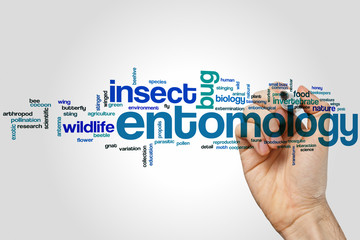 Entomology word cloud