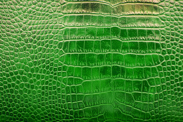 Alligator patterned background