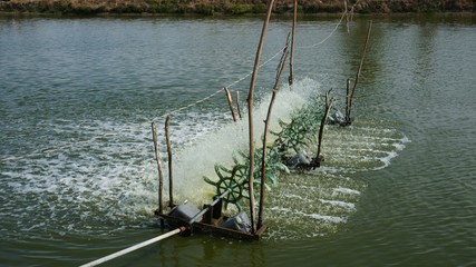 Aerator turbine wheel bring oxygen into water of lake