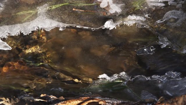 Close-up stream flowing between translucent crusts of ice