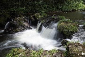 石川県小松市荒俣峡の清流
