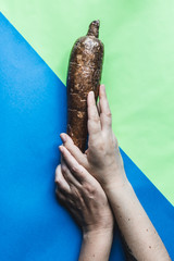 contemporary still life of casssava or manioca with hands on tre
