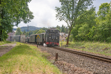 Naklejka premium Schmalspurbahn