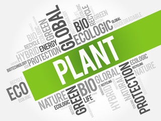 Plant word cloud, conceptual green ecology background