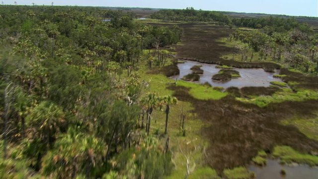 Flight over trees, water, and marshland in rural Florida