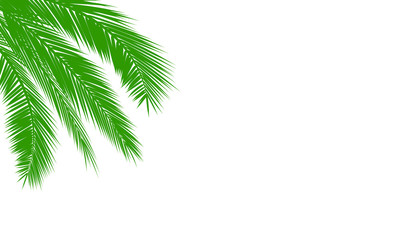 Fototapeta premium Palmen mit Textfreiraum