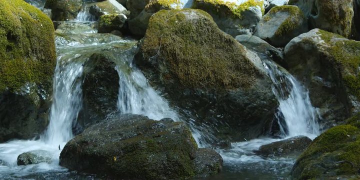Rushing stream falling over mossy boulders