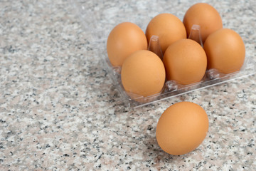 fresh egg on plastic tray
