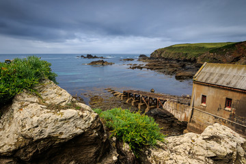 Lizard Point