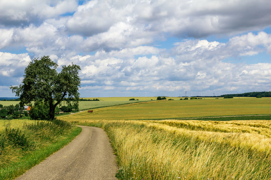 Rural landscape