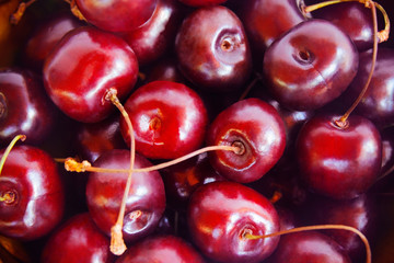 Sweet red cherry close-up