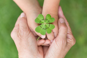 gemeinsam Hand in Hand Kleeblatt Glück