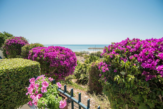 Villa Con Vista Sul Mare