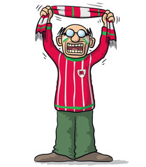 Wales soccer supporter
