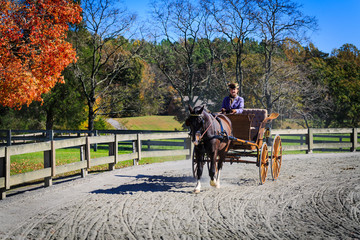 Carriage Rider competing in the James River Driving Association