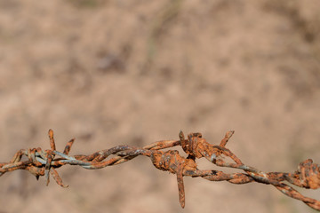 Rusty barbed wire,with brown soil  background ,soft focus.
