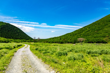 Obraz premium 坊ガツル