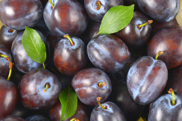 ripe plums background