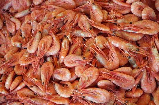 Shrimps, seafood