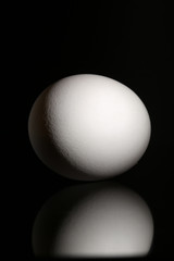 White egg on black background with reflection at studio