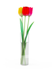 Tulip. Color tulips, bouquet of tulips, tulips isolated, tulips in bouquet, beautiful tulips, colorful tulips, tulips petals, tulips on white, isolated tulips on white background. 3D rendering.