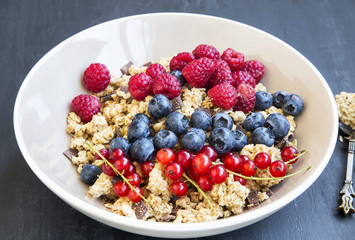 Bowl of healthy muesli with fresh berries